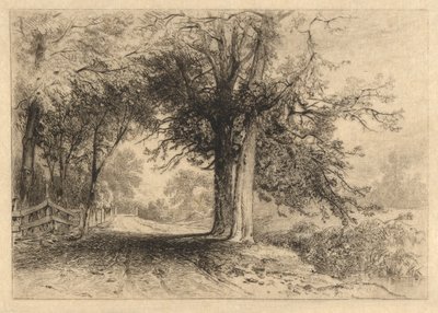 Farm Lane, leden 1887, Opus 2 od James David Smillie