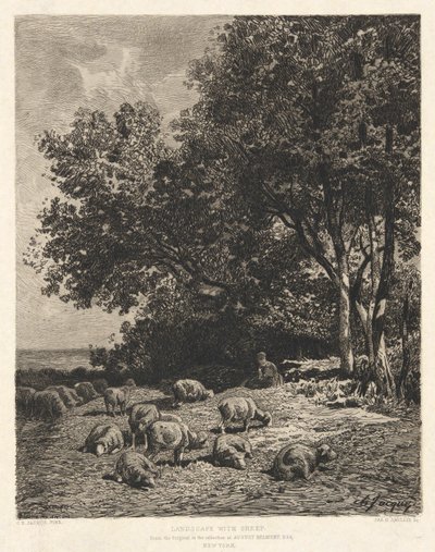 Krajina s ovcemi, po Ch-Jacque od James David Smillie