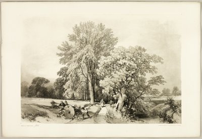 Abele a Oak, z parku a lesa od James Duffield Harding