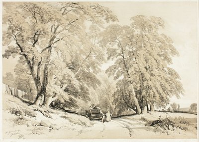 Ash, z The Park and the Forest od James Duffield Harding