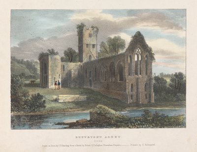 Buttevent Abbey od James Duffield Harding