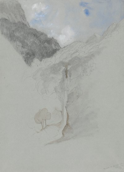 Cascade de lys zespodu od James Duffield Harding