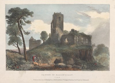 Hrad Ballincolly od James Duffield Harding