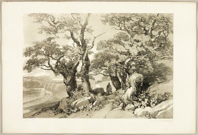 Old Oaks, z parku a lesa od James Duffield Harding