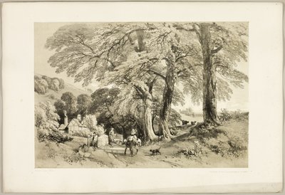 Wych Elm, z parku a lesa od James Duffield Harding