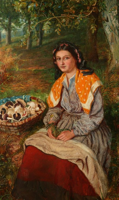 Sběrač hub od James Edgar