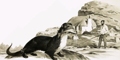 Vydra s rybou a muž lovící ryby od James Edwin McConnell