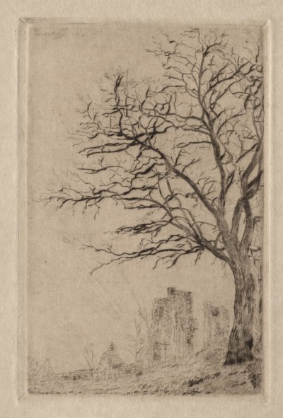 Akácie od James Ensor