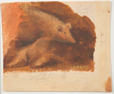Schweine od James Ensor