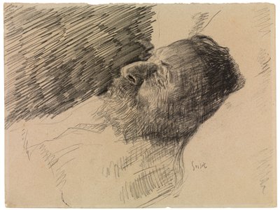 Umělcův otec ve smrti (pastel na papíře) od James Ensor