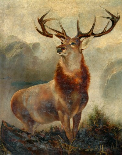 Stag At Bay od James Ford