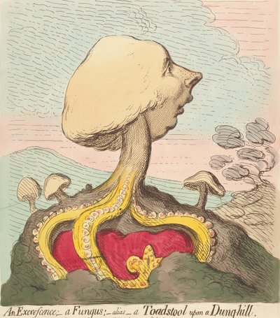 Výrůstek - Houba - Jinak řečeno - Jedovatá houba na hnojišti od James Gillray