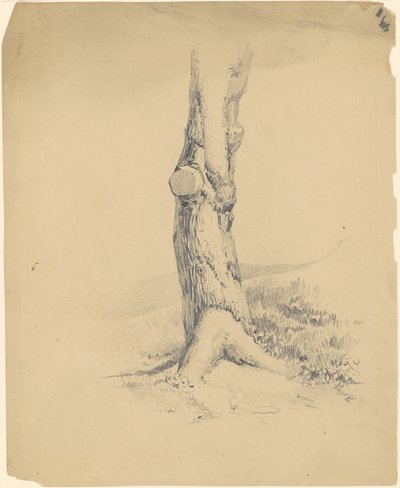 Starý kmen stromu od James Goodwyn Clonney