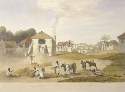 Mill Yard, Holland Estate, St. Thomas na východě od James Hakewill