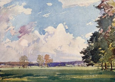Calderstones Park od James Hamilton Hay