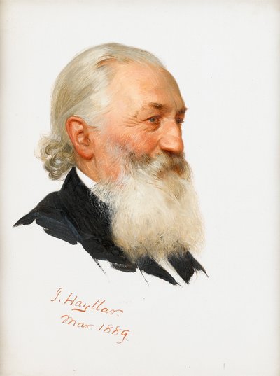 Studie vousatého gentlemana, 1889 od James Hayllar