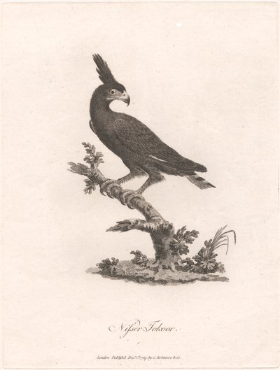 Goblini Tokoor od James Heath