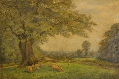 Věžičky Coventry z dálky od James Henry Bambrick