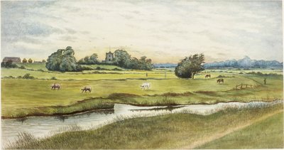 Ryton Meadows (akvarel a tělová barva na papíře) od James Henry Cleet