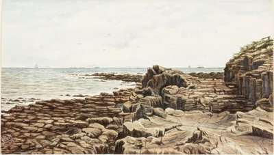Tynemouth od Sharpness Point (akvarel a tělová barva na papíře) od James Henry Cleet