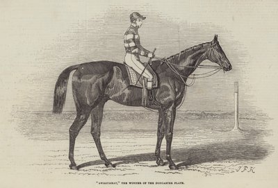 Sweetmeat, vítěz Doncasterské desky od James Herring