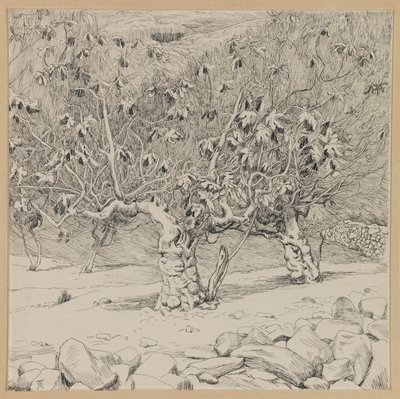 Fíkovník, Údolí Hinnom, ilustrace ze Života našeho Pána Ježíše Krista (inkoust na papíře) od James Jacques Joseph Tissot
