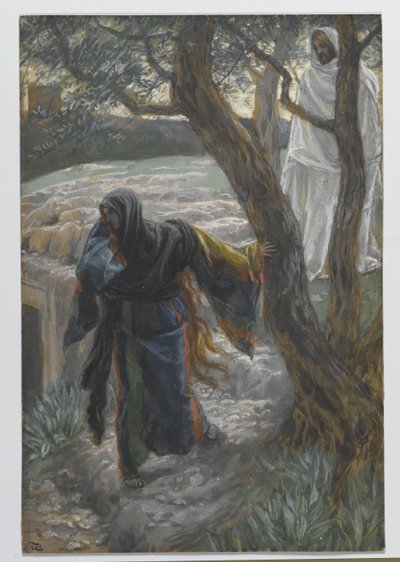 Ježíš se zjevuje Marii Magdaleně, ilustrace ze Života našeho Pána Ježíše Krista, 1886-94 (wc přes grafit na papíře) od James Jacques Joseph Tissot