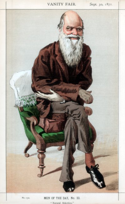 Přírodní výběr, 1871. od James Jacques Joseph Tissot