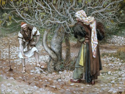 The Barren Fig Tree, ilustrace pro The Life of Christ, c.1886-94 (wc & kvaš na kartonu) od James Jacques Joseph Tissot
