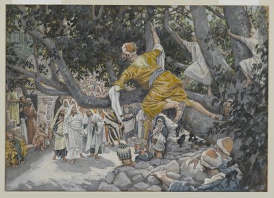 Zacheus v Sykomoru čeká na Ježíšův průchod, ilustrace ze Života našeho Pána Ježíše Krista, 1886-96 (wc přes grafit na papíře) od James Jacques Joseph Tissot
