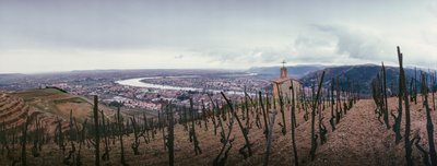 Z vinice je výhled na město a řeku Rhonu. SOCIETE PAUL JABOULET AINE WINE... od James L Stanfield