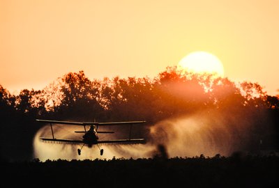 Dvouplošník na práškování obilí rozprašuje pesticidy na pole s plodinami podél řeky Mississippi. od James L Stanfield