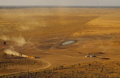 Silniční vlak převážející dobytek projíždí zapovězenou náhorní planinou. Západní Austrálie, Austrálie. od James L Stanfield