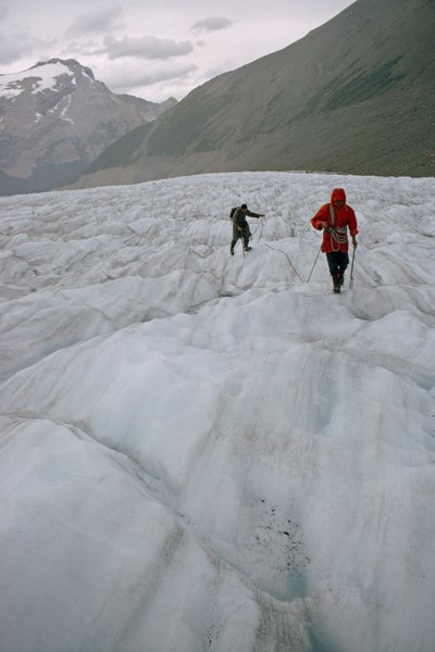 Dva uvázaní horolezci na ledovci se blíží k trhlině. Mount Robson Prov... od James L Stanfield