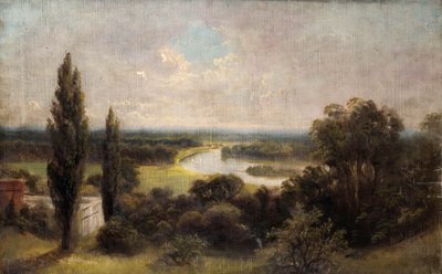 Pohled dolů na pole Ham z vrcholu Richmond Hill od James Lewis