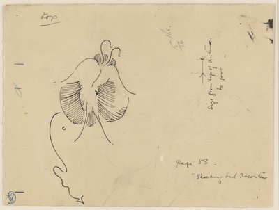 Motýl (recto); fragment motýla (verso) od James McNeill Whistler