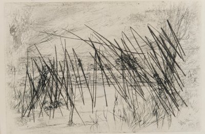 Krajina s rybářem od James Abbott McNeill Whistler
