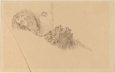 Paní nebo slečna McNayová od James Abbott McNeill Whistler