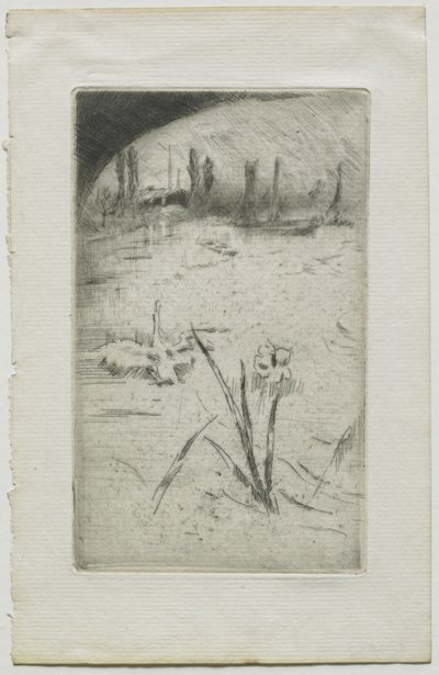 Labuť a kosatec od James McNeill Whistler