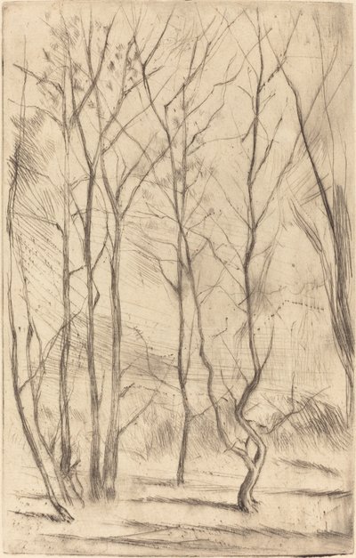 Přehradní les od James Abbott McNeill Whistler