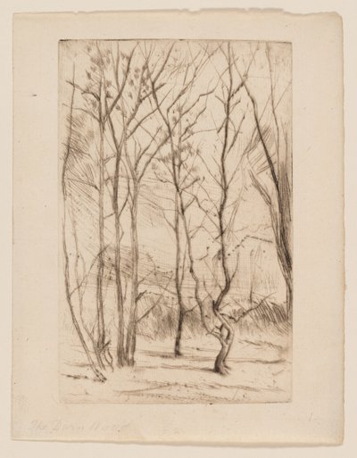Přehradní les od James Abbott McNeill Whistler