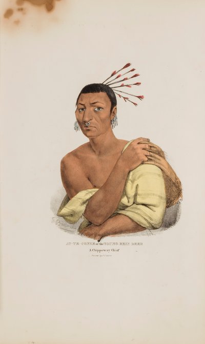 AT-TE-CONSE aneb Mladý jelen; náčelník Chippewayů, z portfolia domorodců od James Otto Lewis
