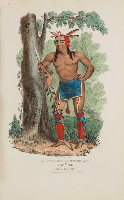 KAA-NUN-DER-WAAGUINSE-ZOO neboli sběrač bobulí; slavný náčelník Chippewů, z domorodého portfolia od James Otto Lewis