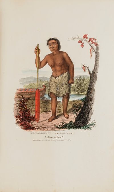 MEN-DOW-MIN aneb Kukuřice; Chippewský trpaslík z portfolia domorodců od James Otto Lewis