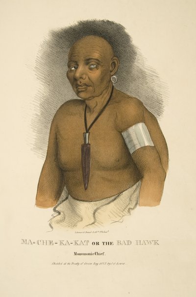 Mama-ch-ka-cut a zlý jestřáb od James Otto Lewis