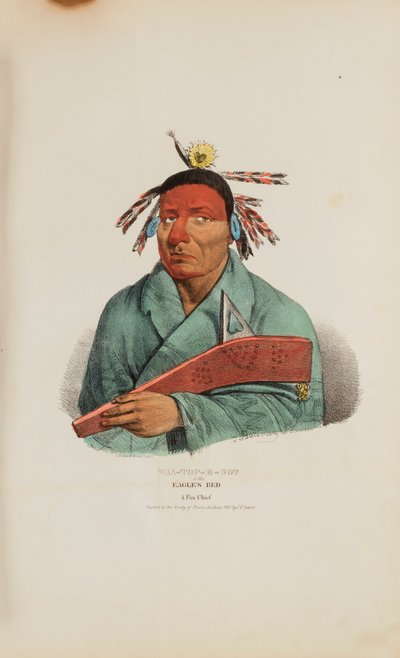 WAA-TOP-E-NOT aneb Orlí lože; náčelník lišek, z portfolia domorodců od James Otto Lewis