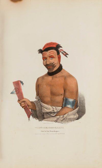 WADT-HE-DOO-KAANA; náčelník kmene Winnebagoes, z Domorodého portfolia od James Otto Lewis