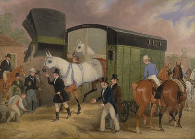 The Derby Pets: The Arrival od James Pollard