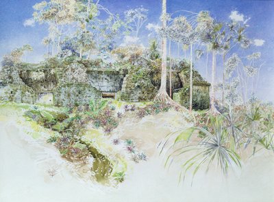 Ruined Temple, Tikal, Guatemala, 1984 (wc na papíře) od James Reeve