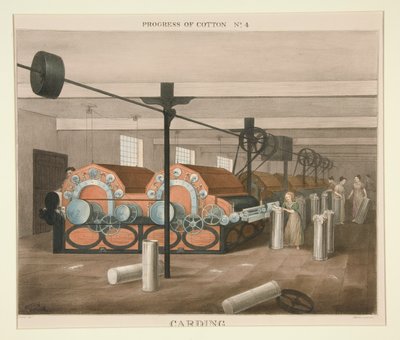 Progress of Cotton: #4 - Mykání od James Richard Barfoot